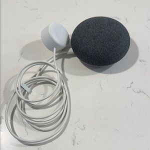 Google Home Mini  in Charcoal and White Orange
